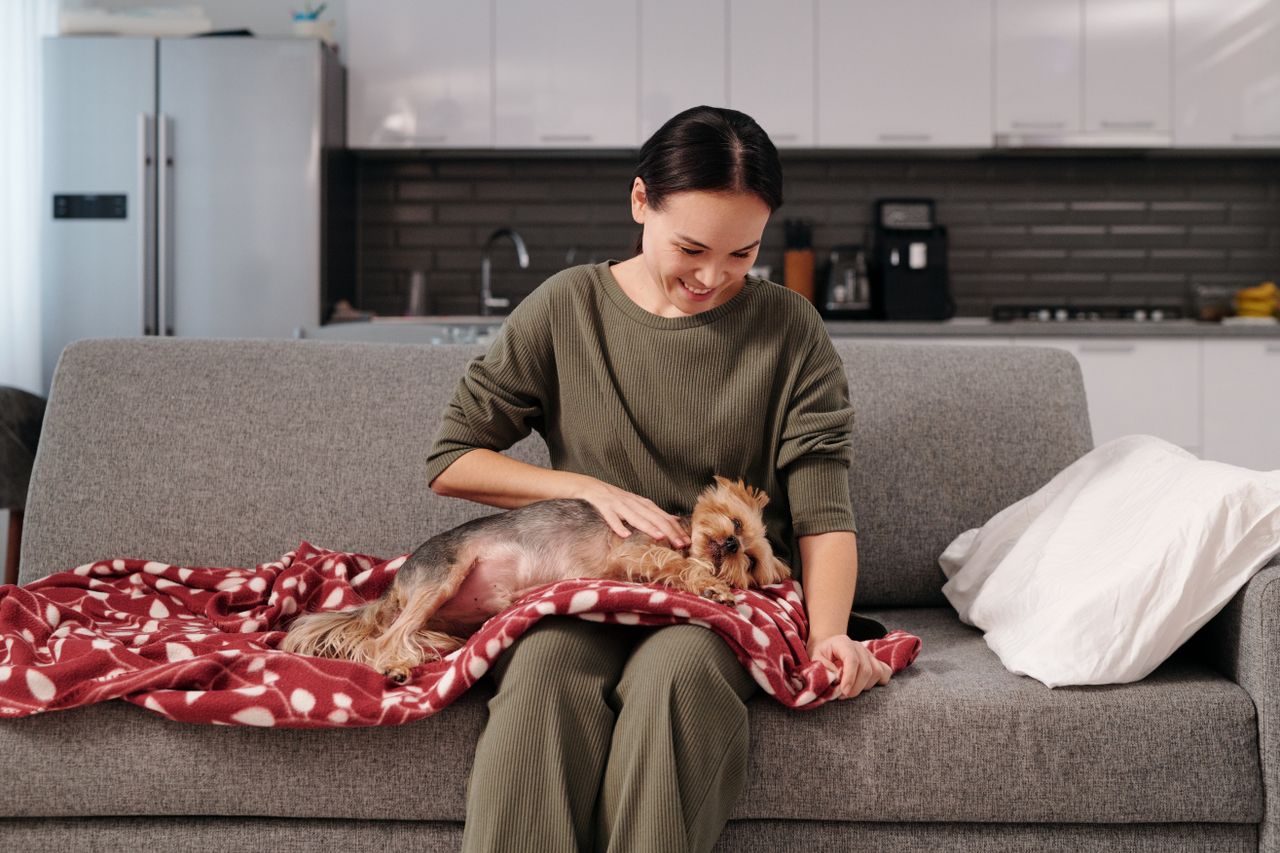 Crafting Captivating Headlines: Your awesome post title goes here Woman petting a small dog on a cozy couch, enjoying a relaxing moment at home.
