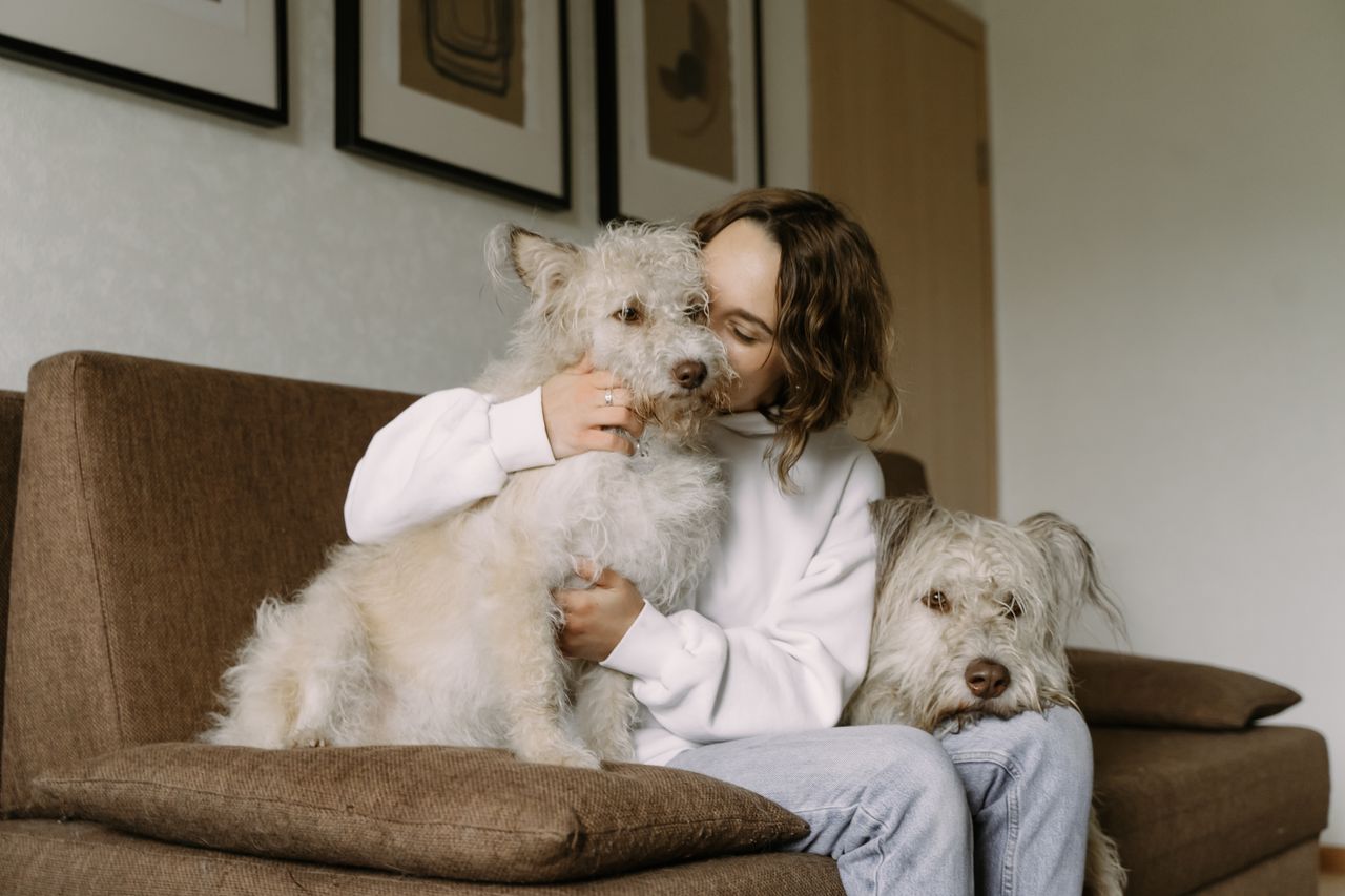 creative-approach-img A woman sits on a couch embracing her two fluffy dogs, creating a warm and cozy indoor scene.